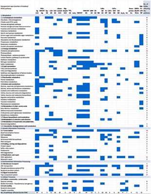 Molecular Mechanisms of Nanomaterial-Bacterial Interactions Revealed by Omics—The Role of Nanomaterial Effect Level